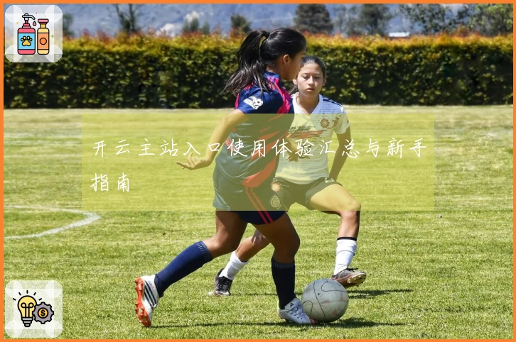 开云主站入口使用体验汇总与新手指南