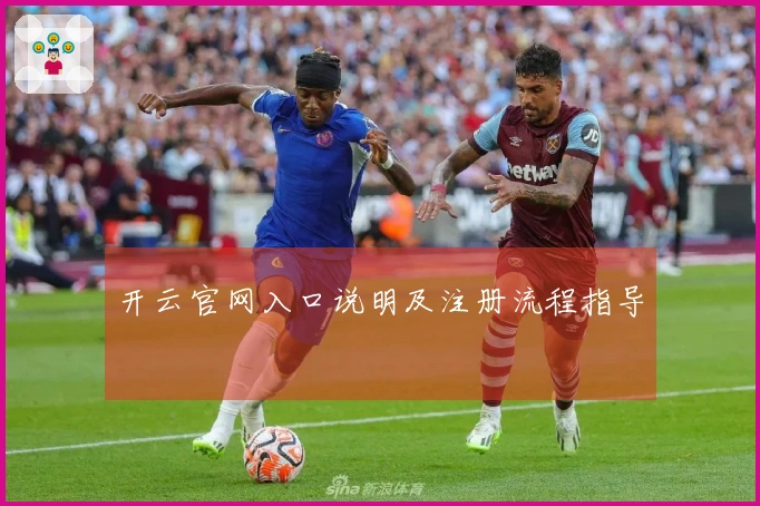 开云官网入口说明及注册流程指导