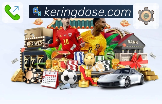 开云网页版入口使用指南与常见问题解答